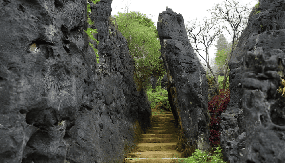 Walking through the maze-like paths between the stone towers, you’ll feel as if you’ve entered a natural sculpture park (Source: Fanpage Núi Hàm Rồng Sa Pa - Ham Rong Mountain Sa Pa)